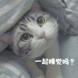 欧美一性爱
